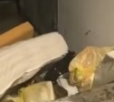 Жители Южно-Сахалинска пожаловались на нашествие крыс во дворе в центре города