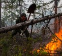 Пожар в тунгорском лесничестве, который обнаружили еще 6 июля, до сих пор не потушен