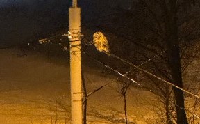 Общество