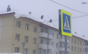 Общество
