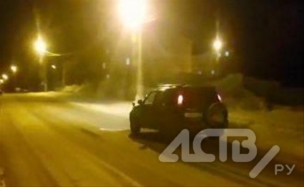 Очевидцы: неизвестный застрелил собаку в Корсакове