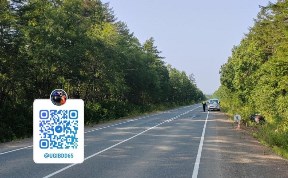 Происшествия