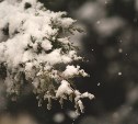 Снег и минусовая температура ночью: погода для всех районов Сахалинской области на 30 апреля