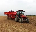 Урожайность картофеля в этом году на Сахалине выше, чем в прошлом 