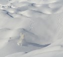 Лавинную опасность прогнозируют в пяти районах Сахалина