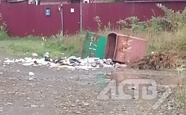 Медведь на Сахалине держит в страхе частный сектор: по ночам гоняет собак и инспектирует мусорки