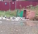 Медведь на Сахалине держит в страхе частный сектор: по ночам гоняет собак и инспектирует мусорки