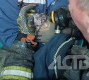 Кошку спасли при тушении пожара в Южно-Сахалинске