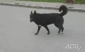 Общество
