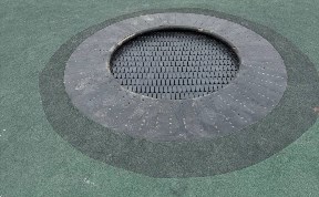 Общество