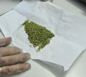 Сверток с марихуаной изъяли у жителя Горнозаводска