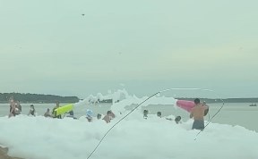 Общество