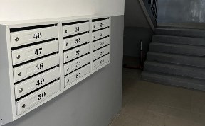 Общество