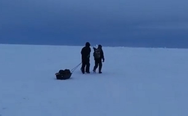 Едва закончилась метель, сахалинские рыбаки вновь устремились на лёд