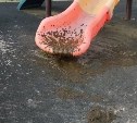 "Всё село в навозе": курильчане с лопатами выгоняют коров, поселившихся на детских площадках