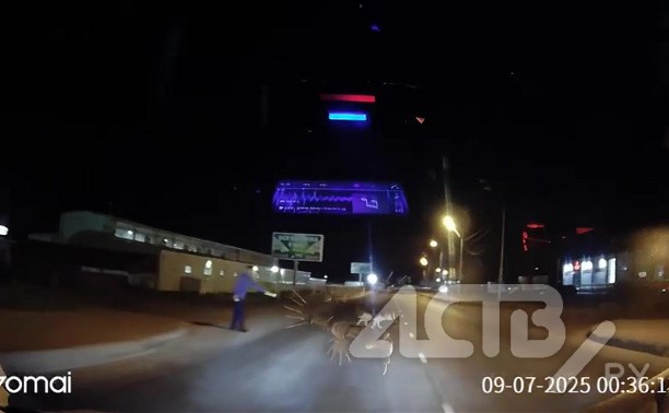 Автомобилист в Южно-Сахалинске спас прохожего от агрессивного пса