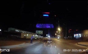 Происшествия