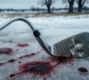 В столице Камчатки мужчина до полусмерти избил незнакомца клюшкой для гольфа