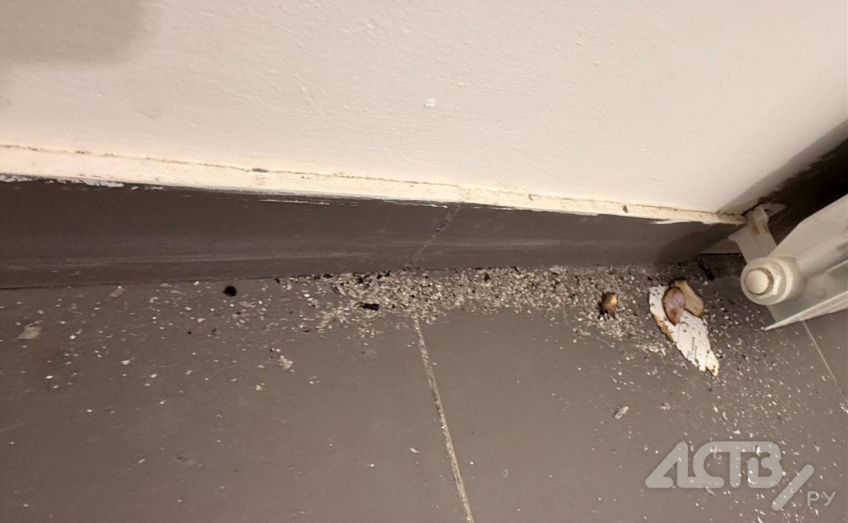 Неизвестные проникли в подъезд дома в ЖК в Южно-Сахалинске и сожгли почтовые отправления 