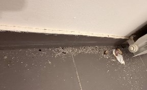 Происшествия