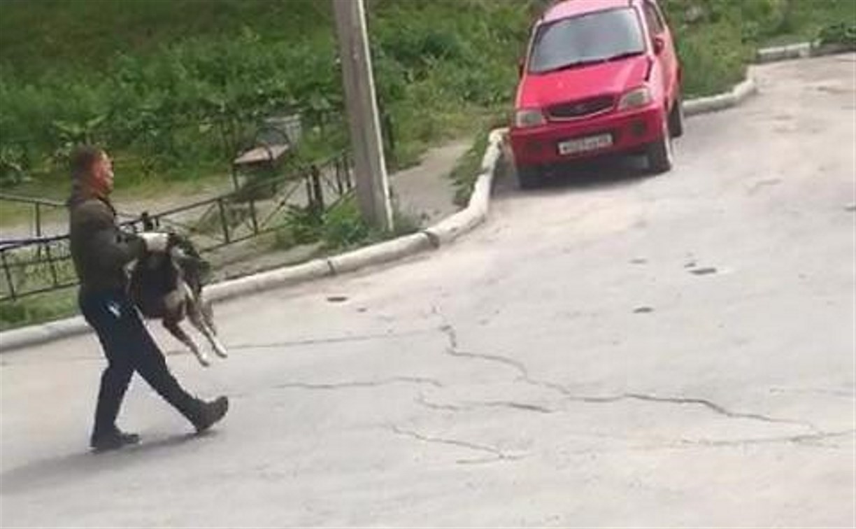На улице Крайней в Южно-Сахалинске ловят и травят собак
