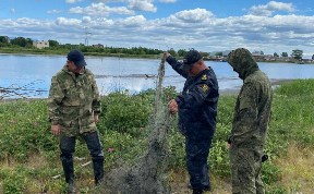 Общество