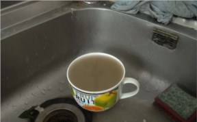 Общество