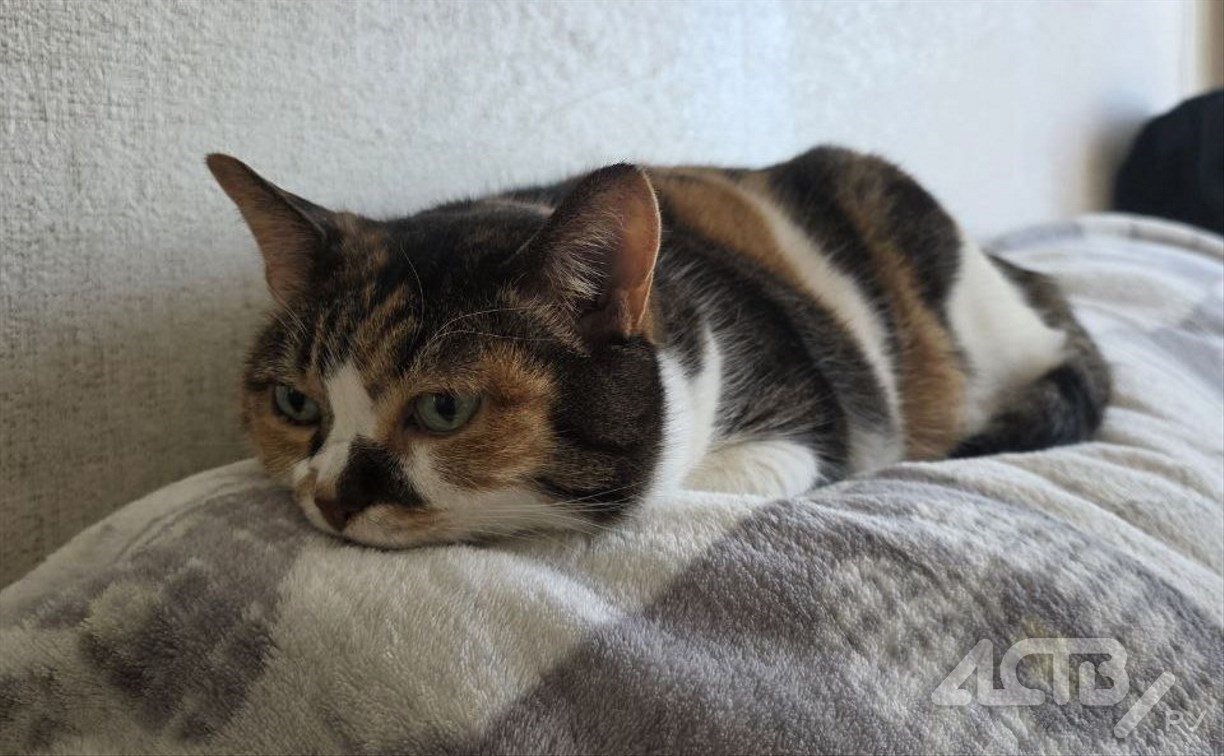 Сахалинская коммунальная компания дополнила список домов, в которых отключат отопление