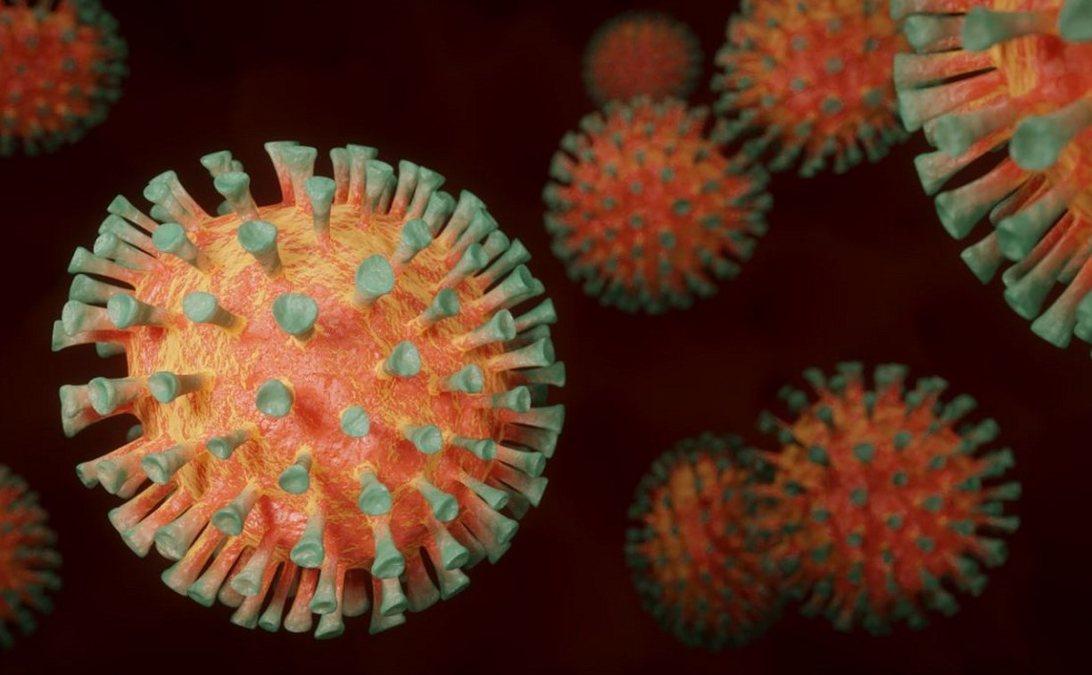 "Забытые" вирусы возвращаются: сахалинцам рассказали о детских прививках, которые нельзя недооценивать