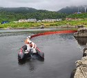 Побережье у Правды проверили после массовых сообщений местных жителей по поводу разлива соляры