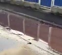 В Южно-Сахалинске кто-то заливает улицу непонятной жидкостью бурого цвета
