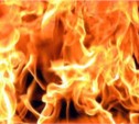 Маленькая девочка и женщина погибли при пожаре на Сахалине