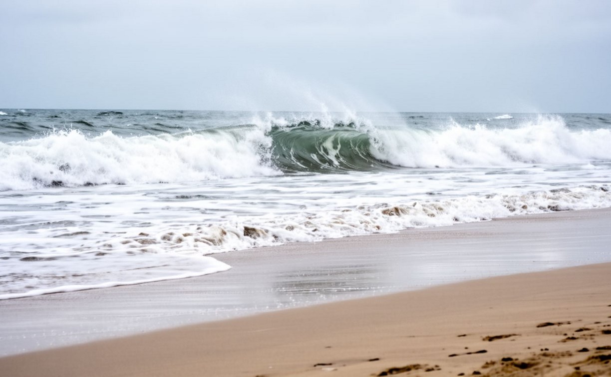 На берегу залива Терпения обнаружили тело 52-летнего мужчины