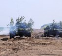 Военные на Сахалине разминировали прибрежную зону