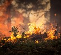 Высокая пожарная опасность прогнозируется в четырёх районах Сахалина