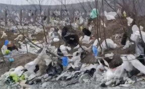 Происшествия