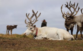 Происшествия