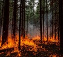 В Смирныховском районе объявлен высокий класс пожарной опасности