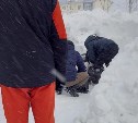 Мертвого мужчину обнаружили в заметенной снегом машине в Дальнем