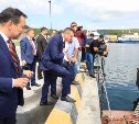 Дмитрий Медведев отметил позитивные изменения на Курилах