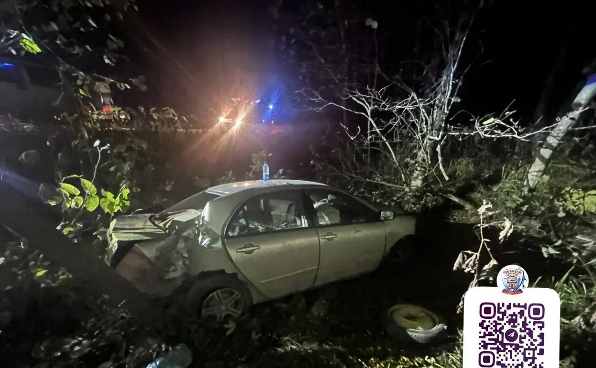 Пенсионер напился и на Toyota Corolla улетел в кювет в Корсаковском районе