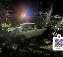 Пенсионер напился и на Toyota Corolla улетел в кювет в Корсаковском районе
