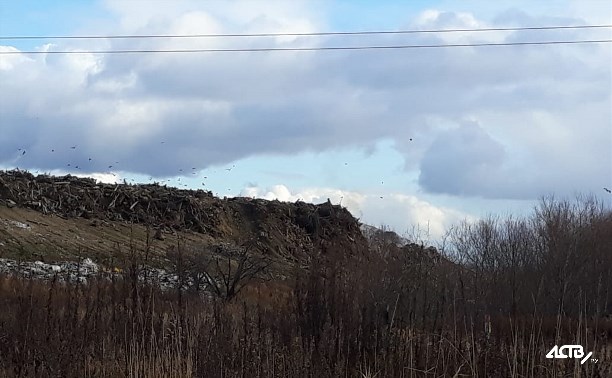 Пожар на городской свалке в Южно-Сахалинске потушен