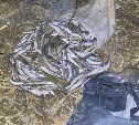 На Лютоге 17 мая задержали браконьера с сачком