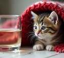 Холодную воду и отопление отключат у некоторых южносахалинцев 9 октября 