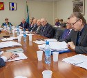 Депутаты сахалинской областной думы одобрили идею отмены всеобщих выборов мэров