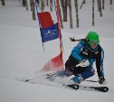 Три горнолыжных турнира пройдут в Южно-Сахалинске