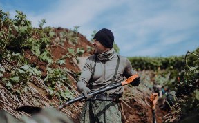 Общество