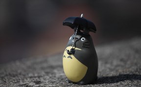 Общество