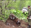 Сахалинские поисковики нашли фрагменты реактивного самолета в Холмском районе